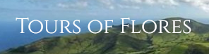 Tours Of Flores