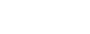 Badams TRAVEL logo in white